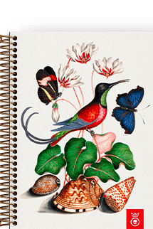 Caderno Fauna & Flora Beija-flor
