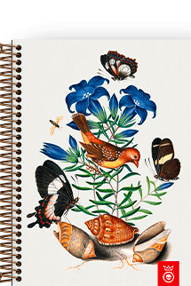 Caderno Fauna & Flora Asas